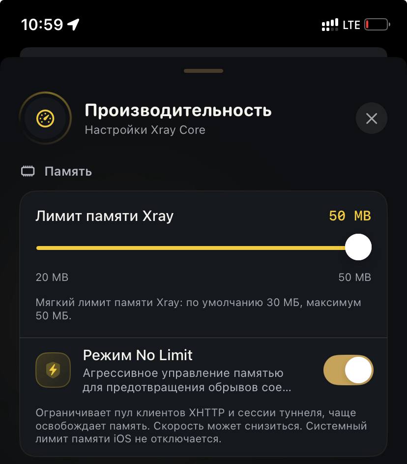 Скриншот INCY: лимит памяти 50 МБ и включённый No Limit